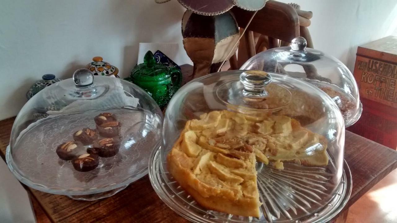 Hostal El Cascabel Cholula Εξωτερικό φωτογραφία