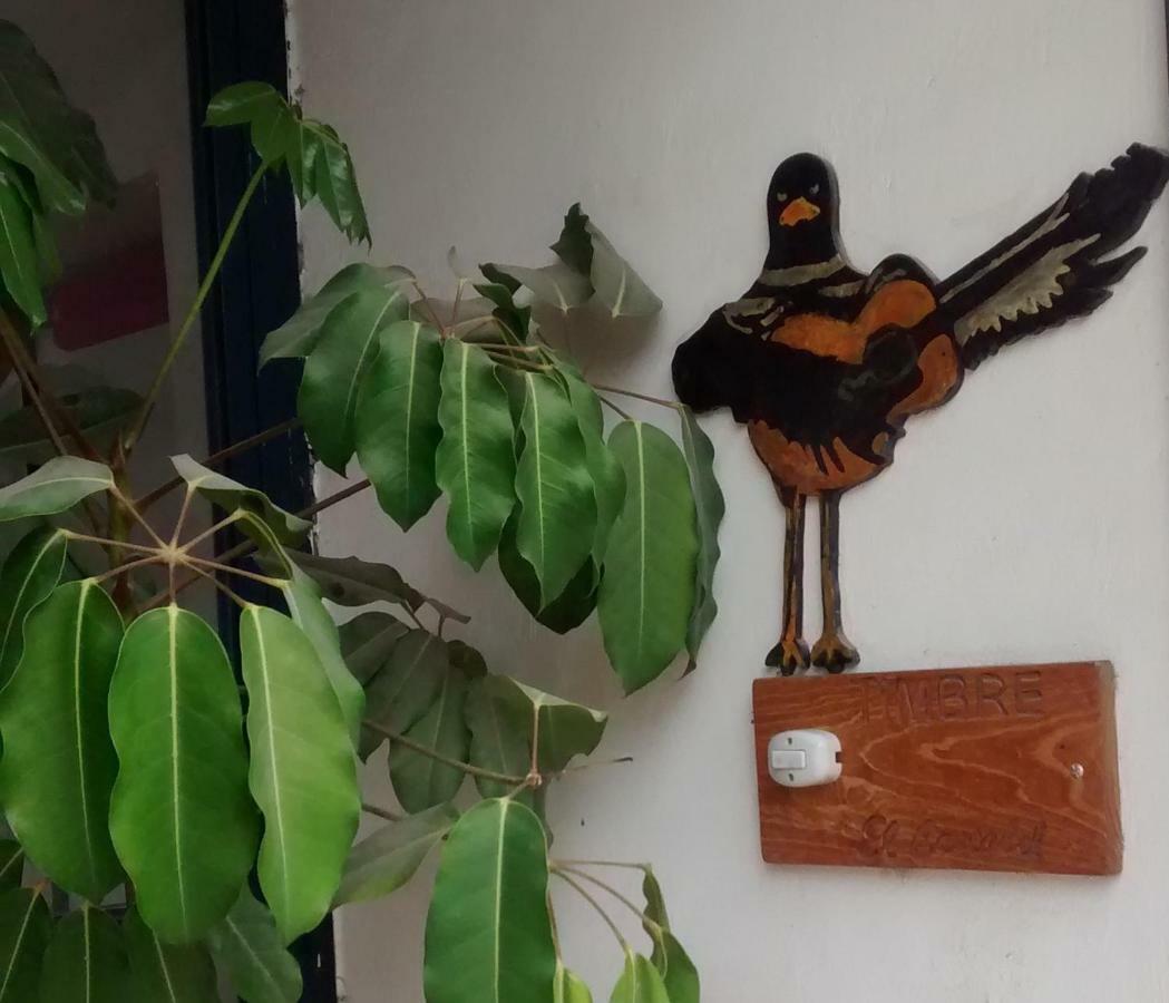 Hostal El Cascabel Cholula Εξωτερικό φωτογραφία