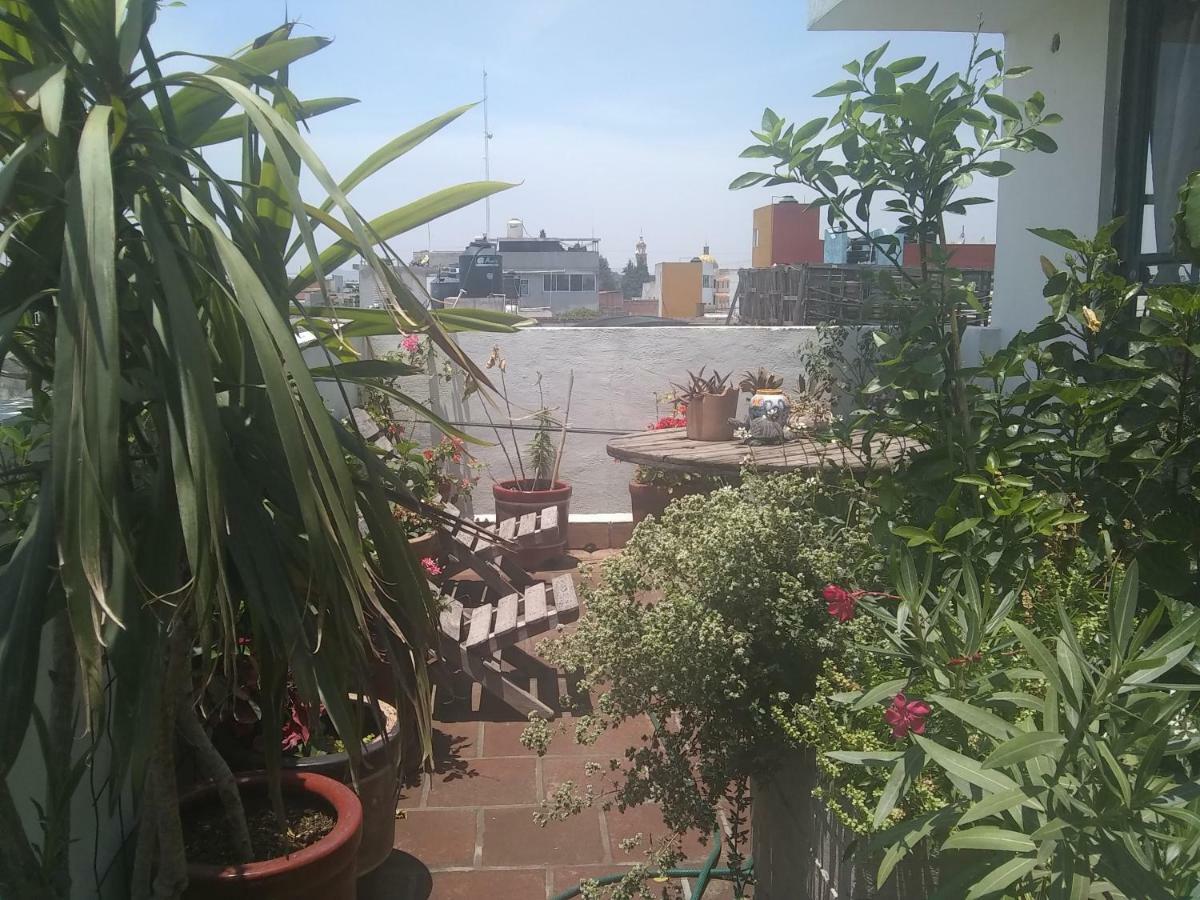 Hostal El Cascabel Cholula Εξωτερικό φωτογραφία